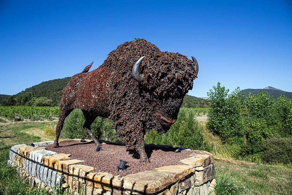 Bison.jpg