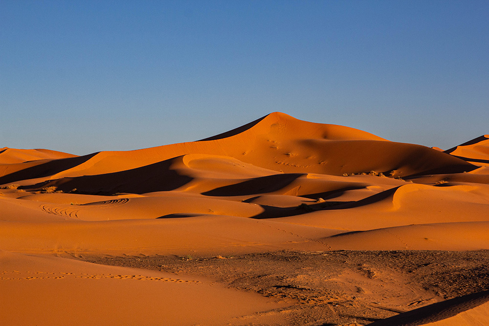 la nature est belle.jpg