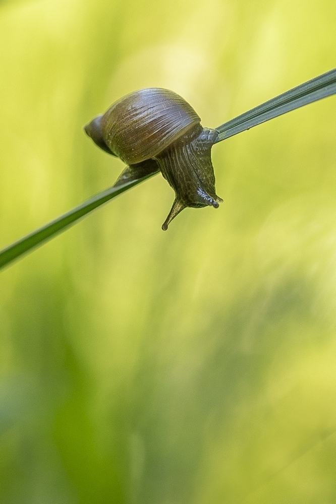 2G6A5632.jpg