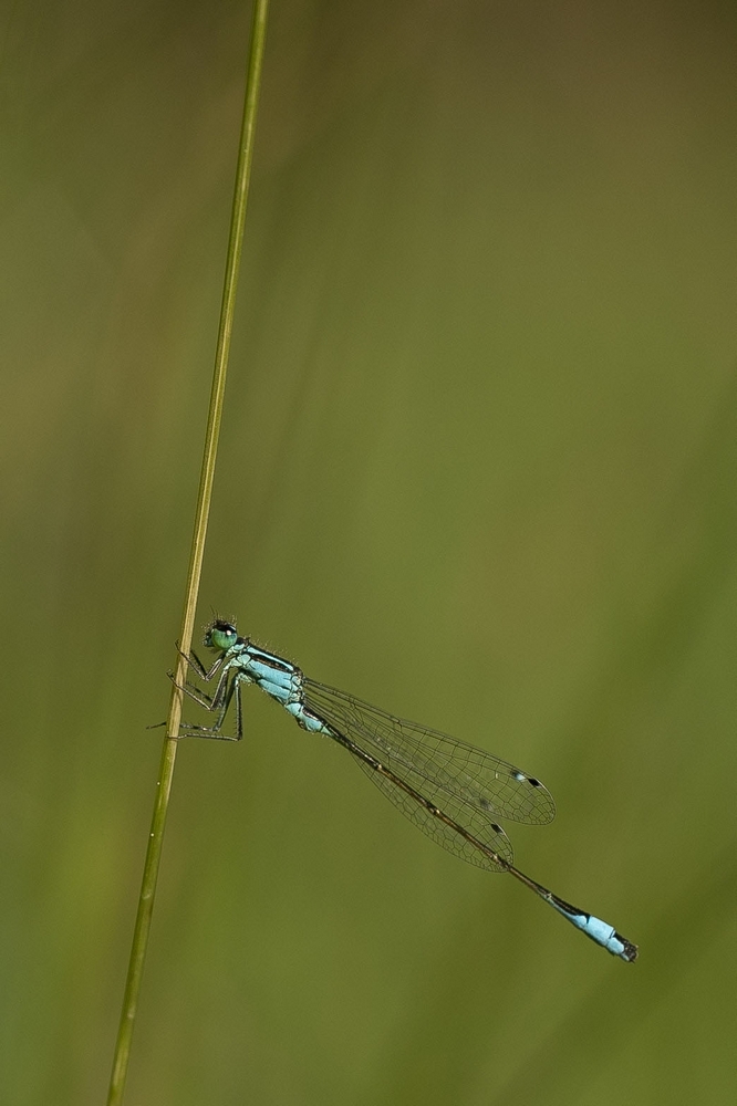 2G6A5634.jpg