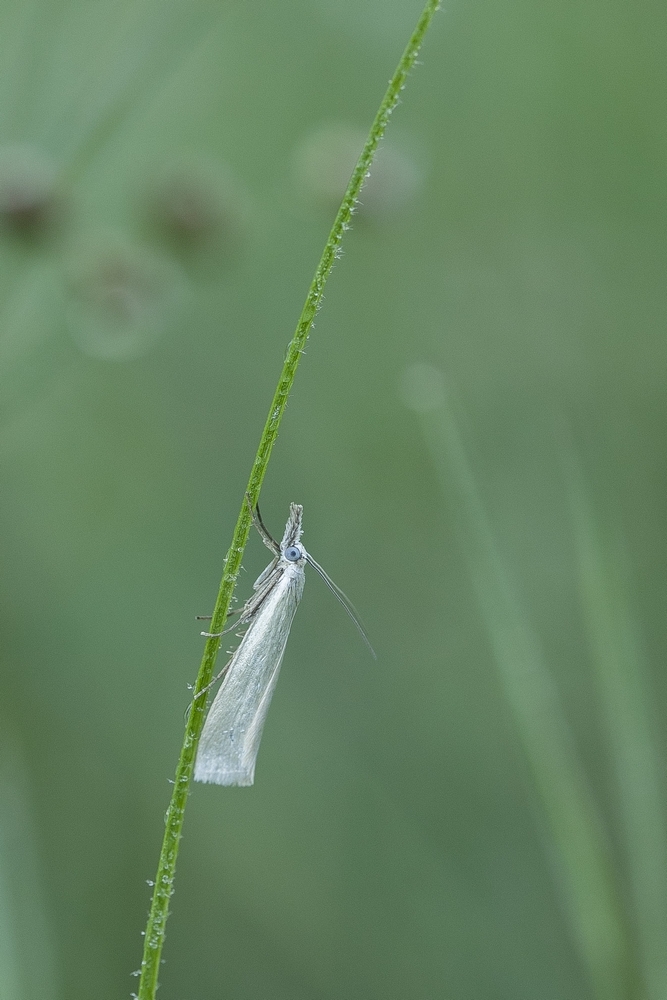 2G6A5639.jpg