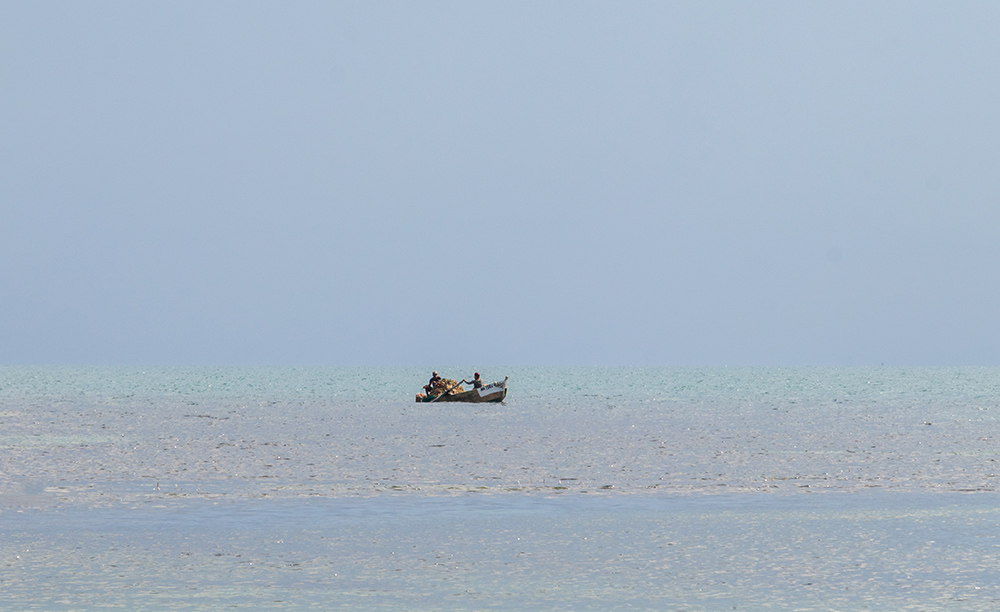 IMG_0019.jpg