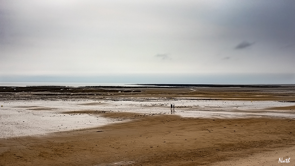 Marée basse.jpg