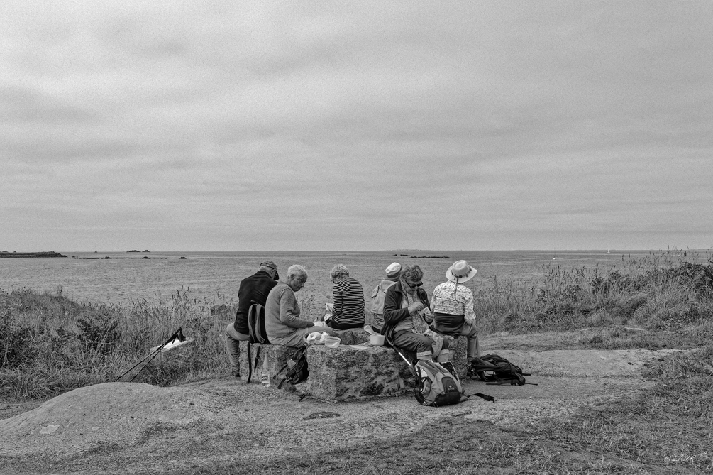 _08-03-2025_12330DSC_0256.JPEG