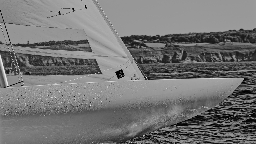 _08-25-2025_14147DSC_0703.JPEG