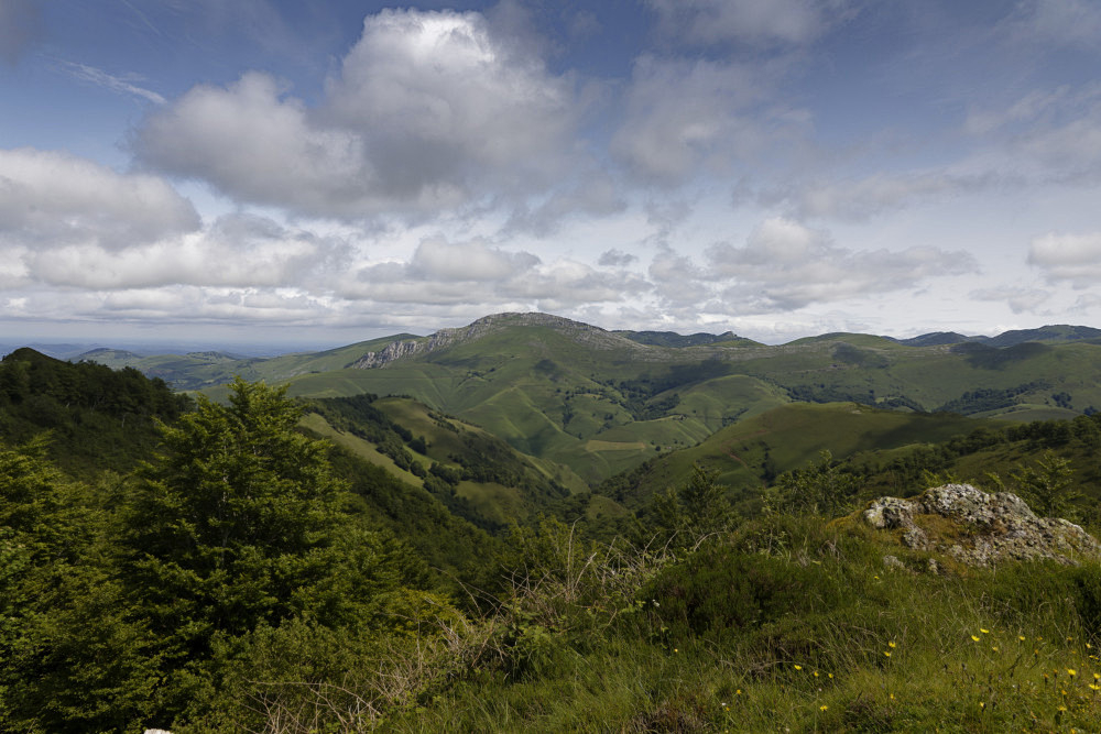 _S5A2008.jpg