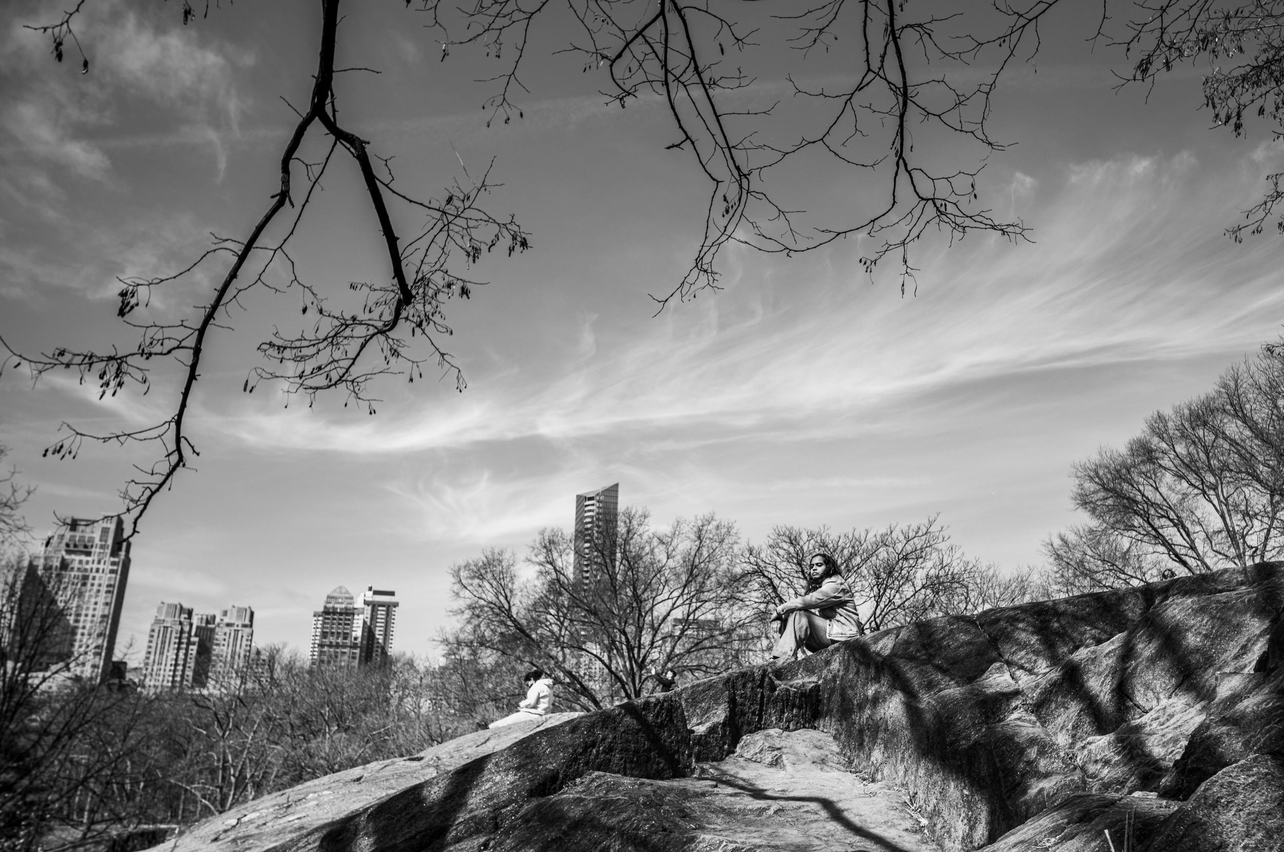 large.L1007161.jpg