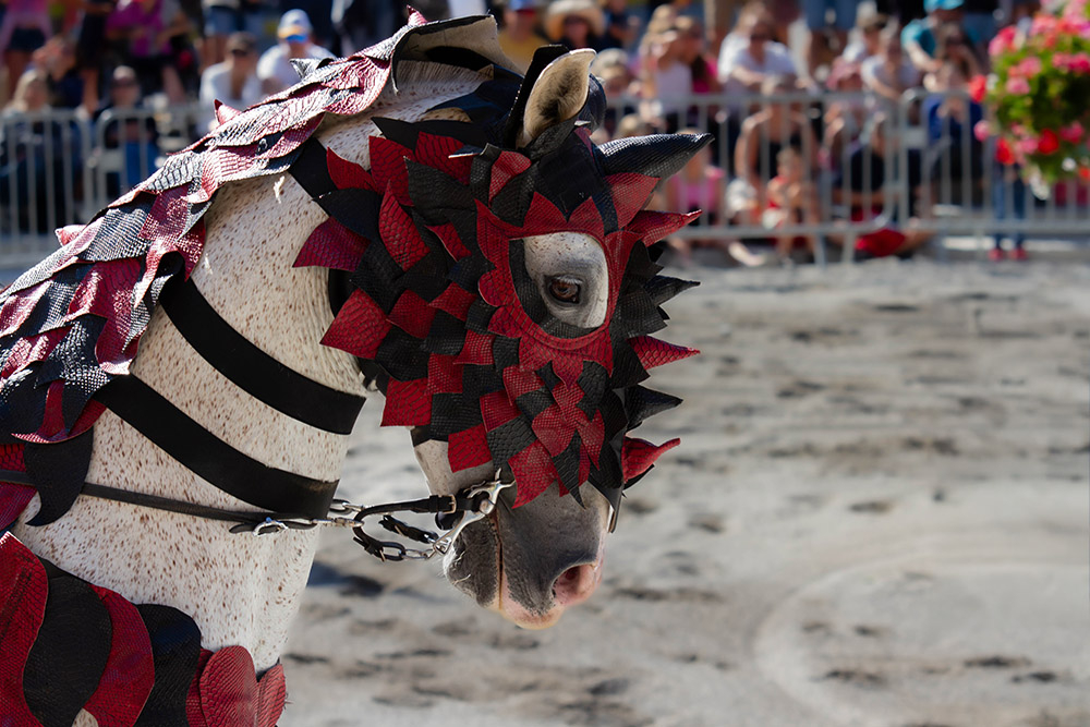 le cheval dragon.jpg