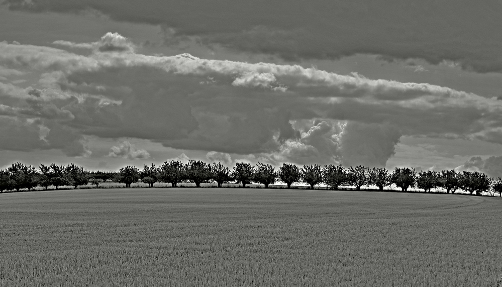 02 août 2025 balade autour de Coulanges (35) pt.JPG