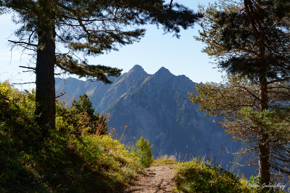2025_09_06_014_Chemin_Furfande.jpg