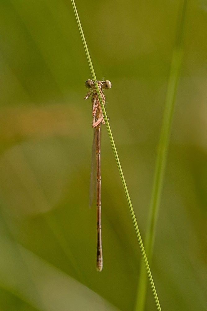 2G6A5644.jpg