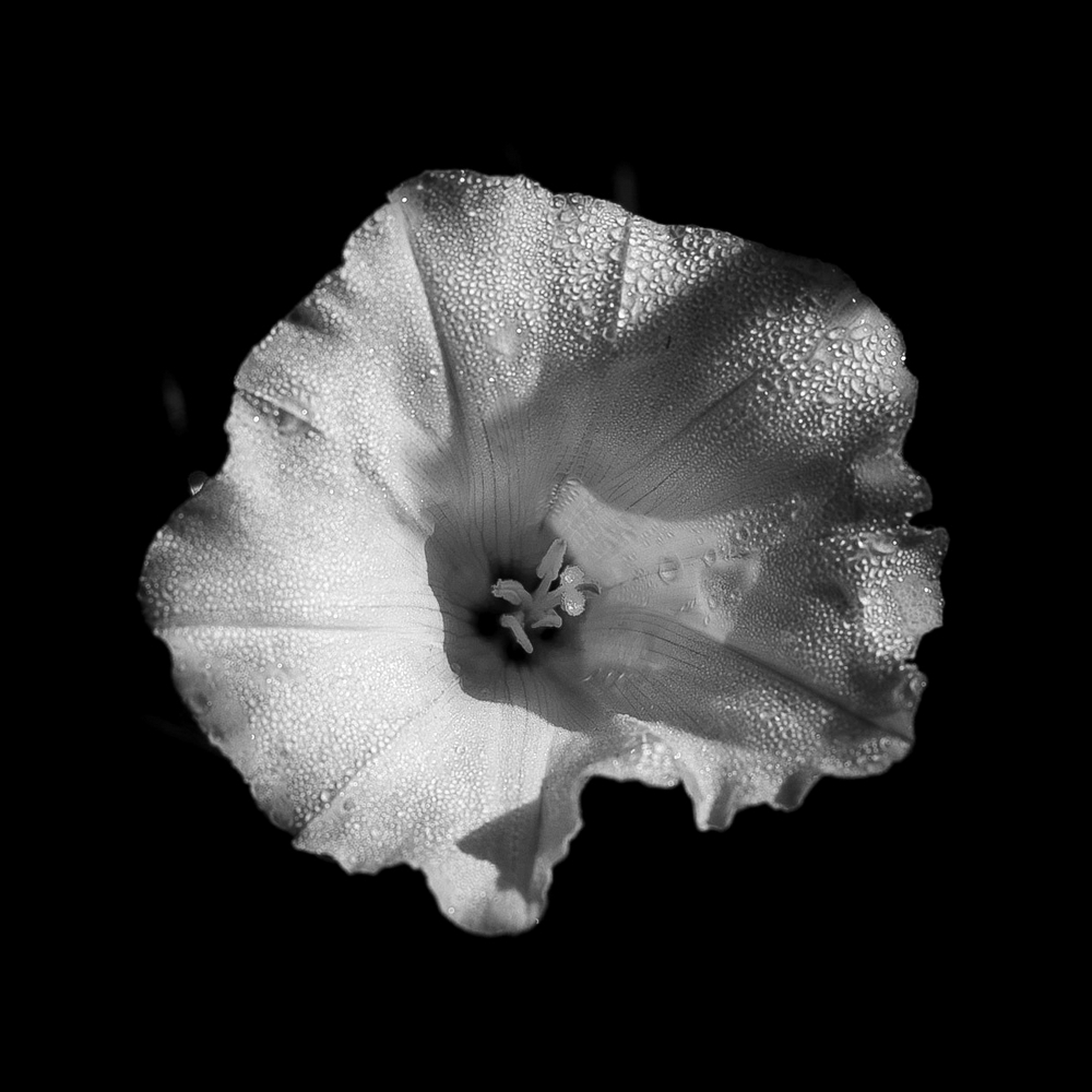 2G6A6592.jpg