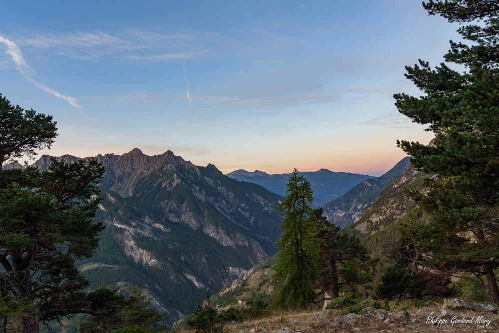 DSC00707-dng_DxO_DeepPRIME.jpg