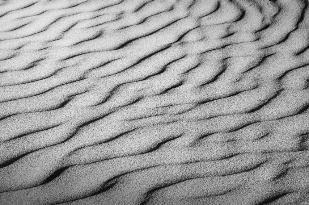 DSC_0409.JPG