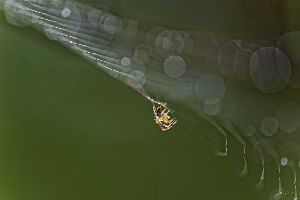 _09-21-2025_15882DSC_0007.JPEG