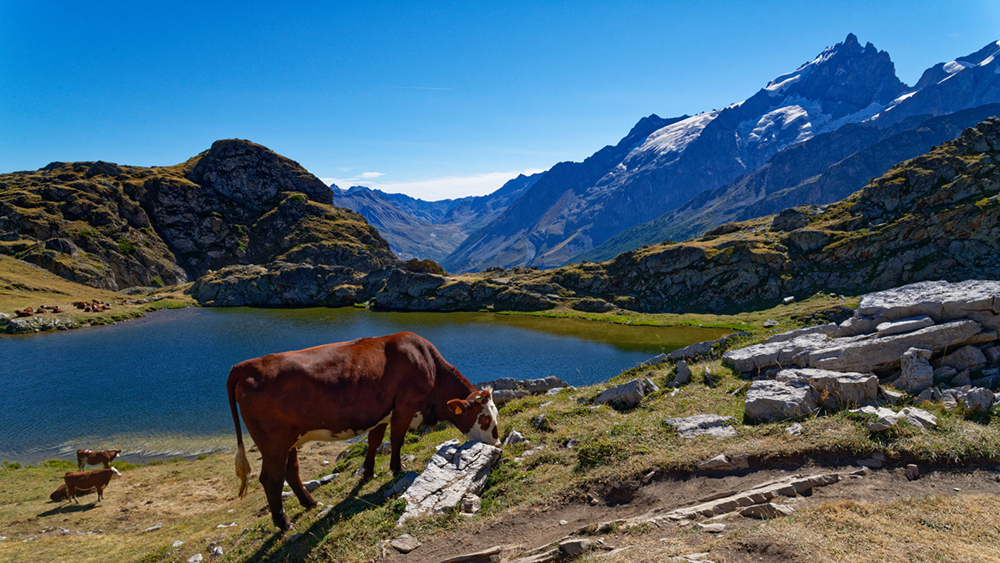 _DSC6937_DxO.jpg