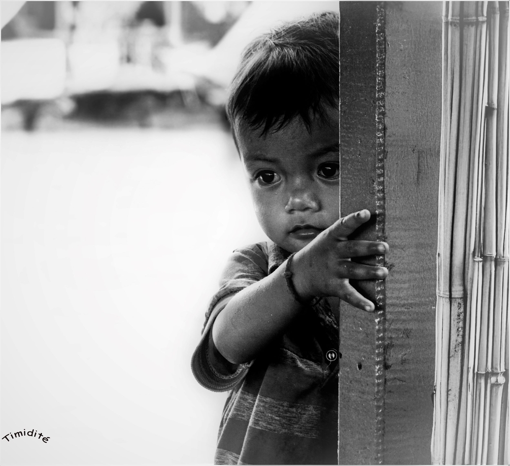 _DSC7070 timidité 2500.jpg