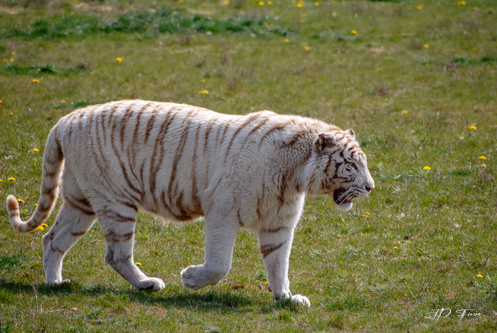 _X1404121407.jpg