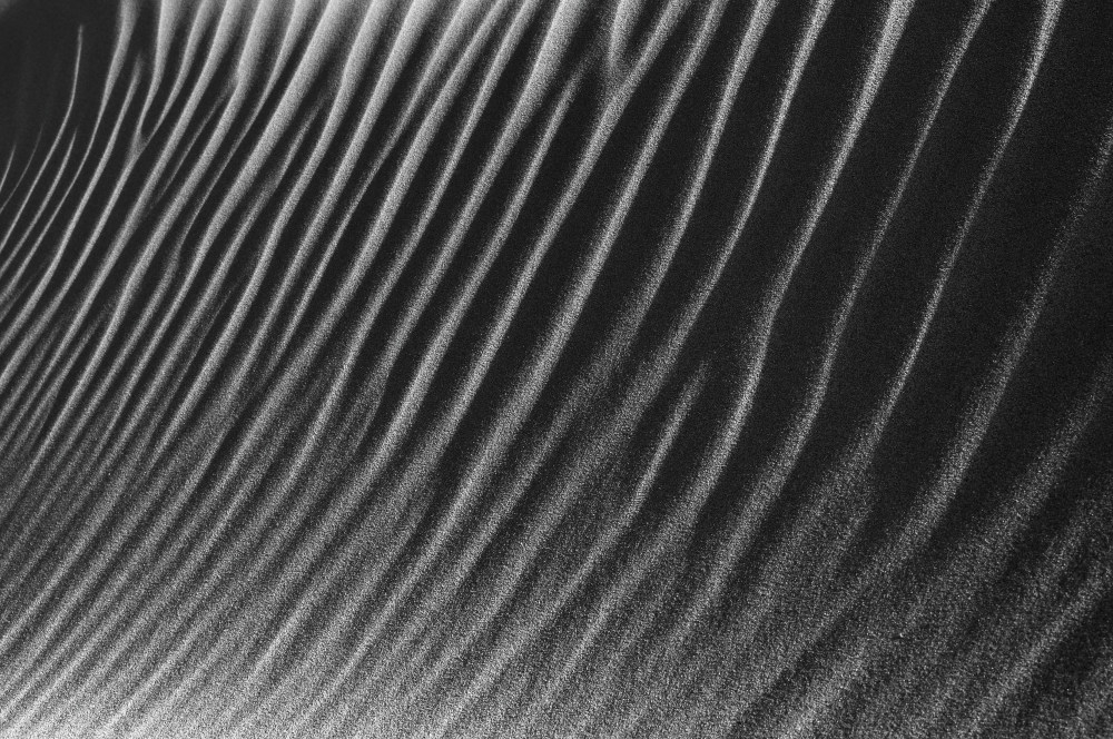 dune_gravelines.JPG