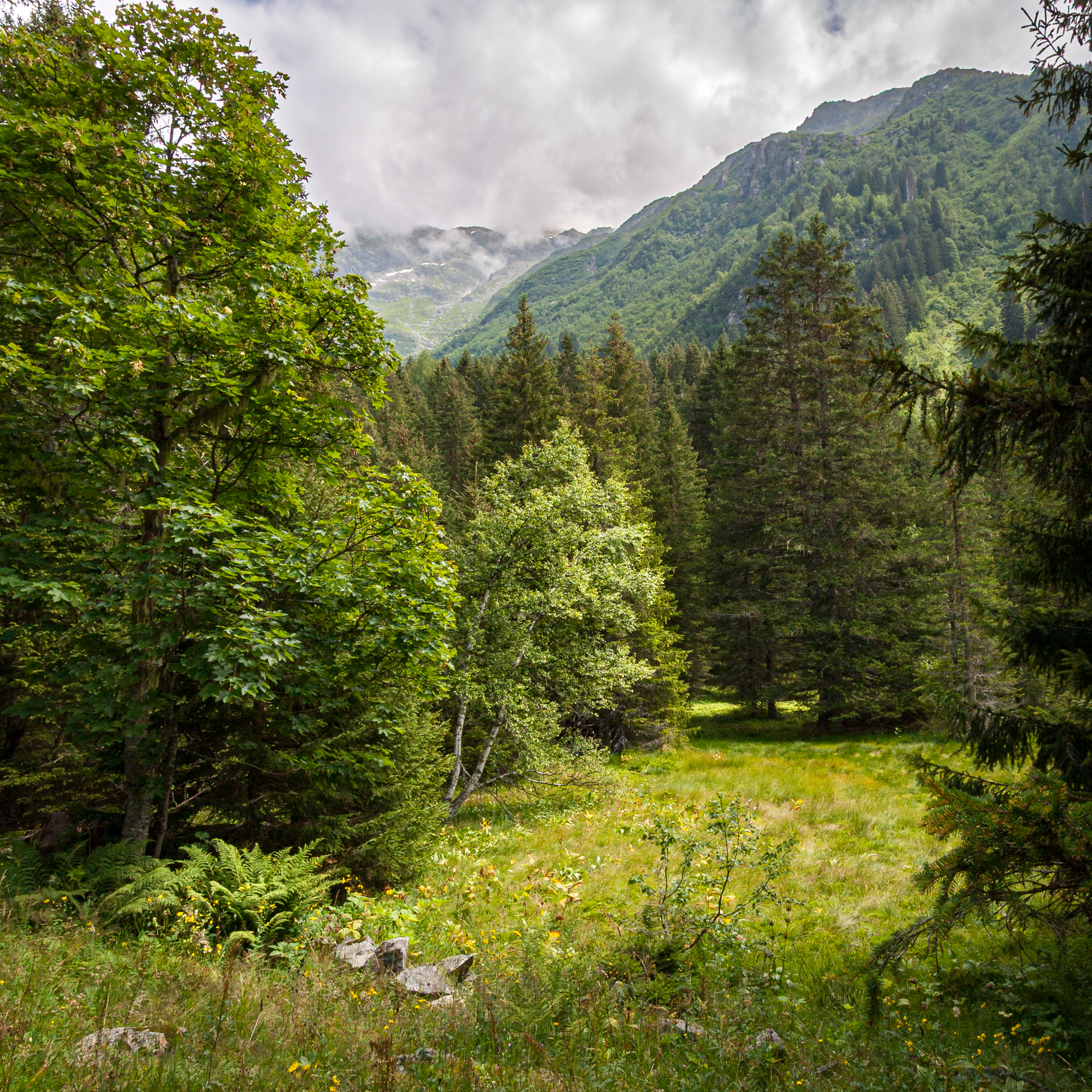 Alpes