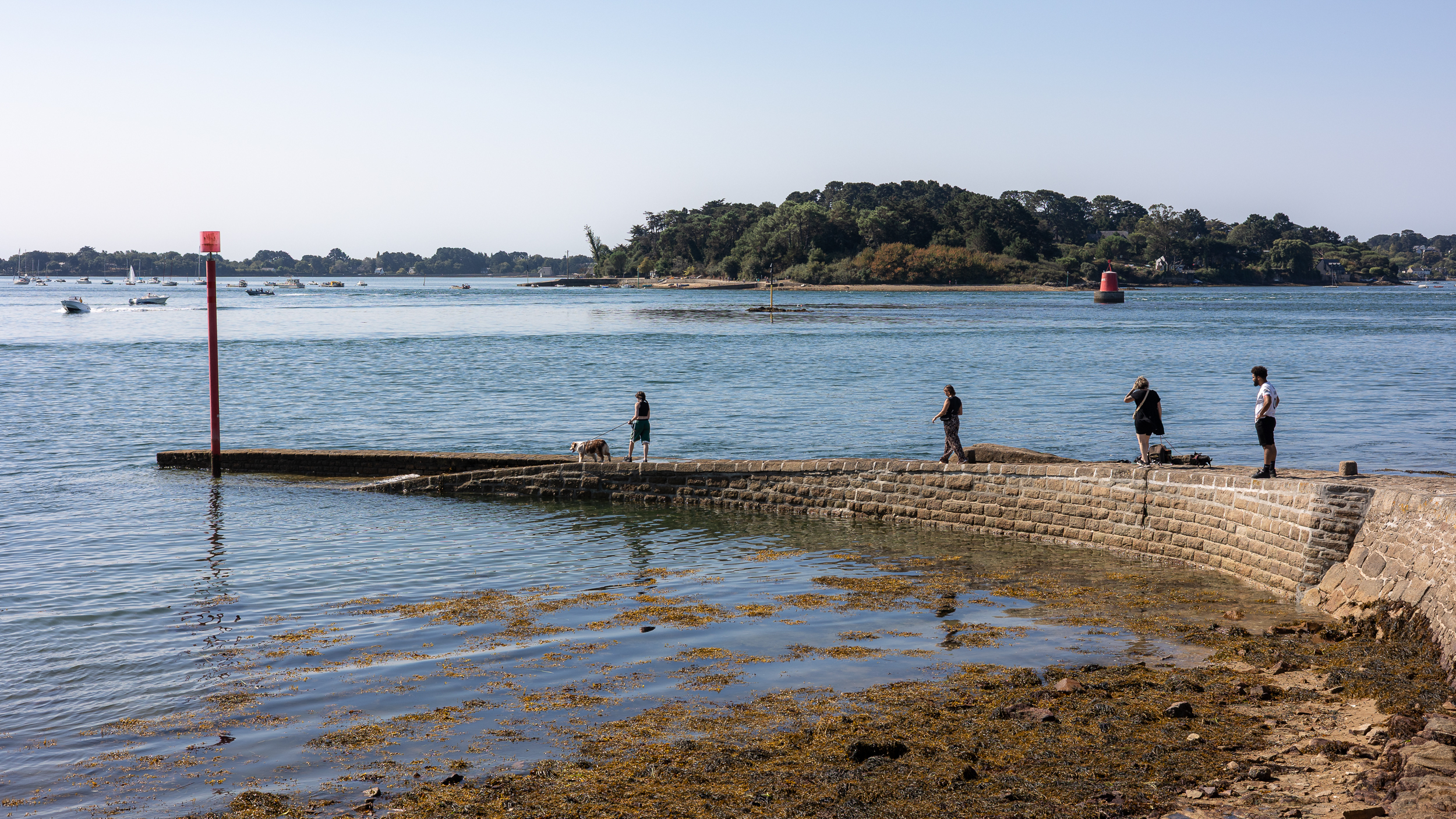large.25082025-VX2A2807.jpg
