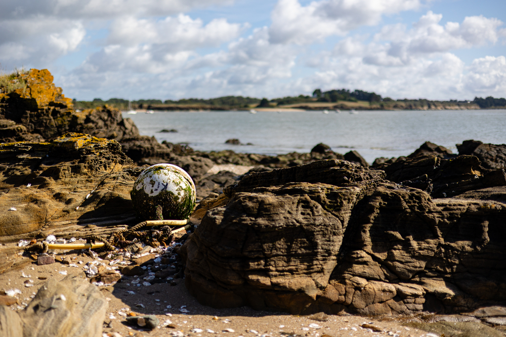28082025-VX2A2836.jpg