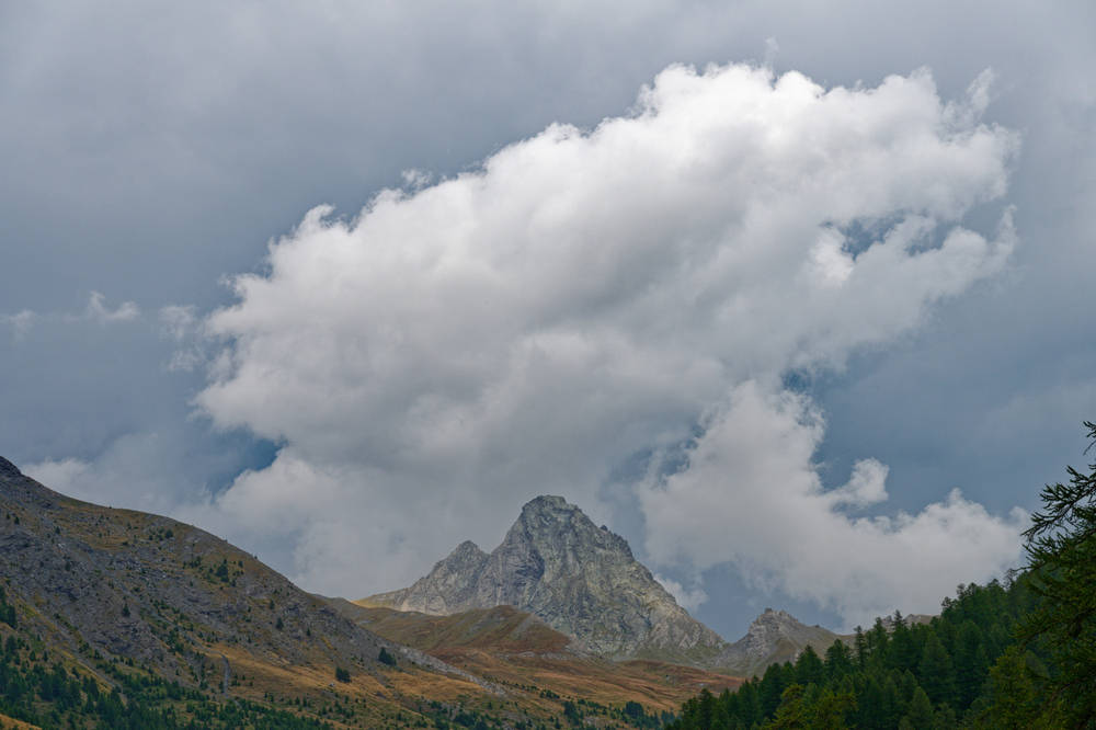 Bouchet_DSC8765.jpg