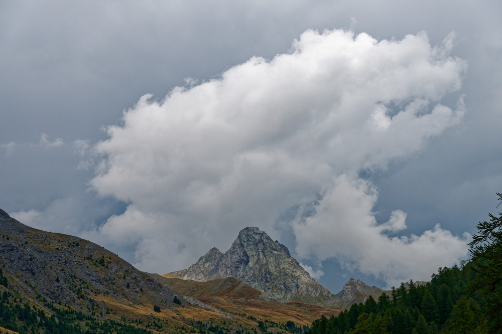 Bouchet_DSC8765.jpg