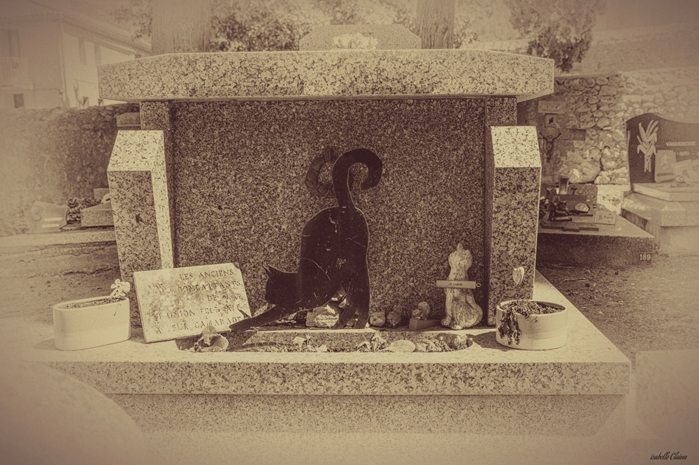 tombe.jpg