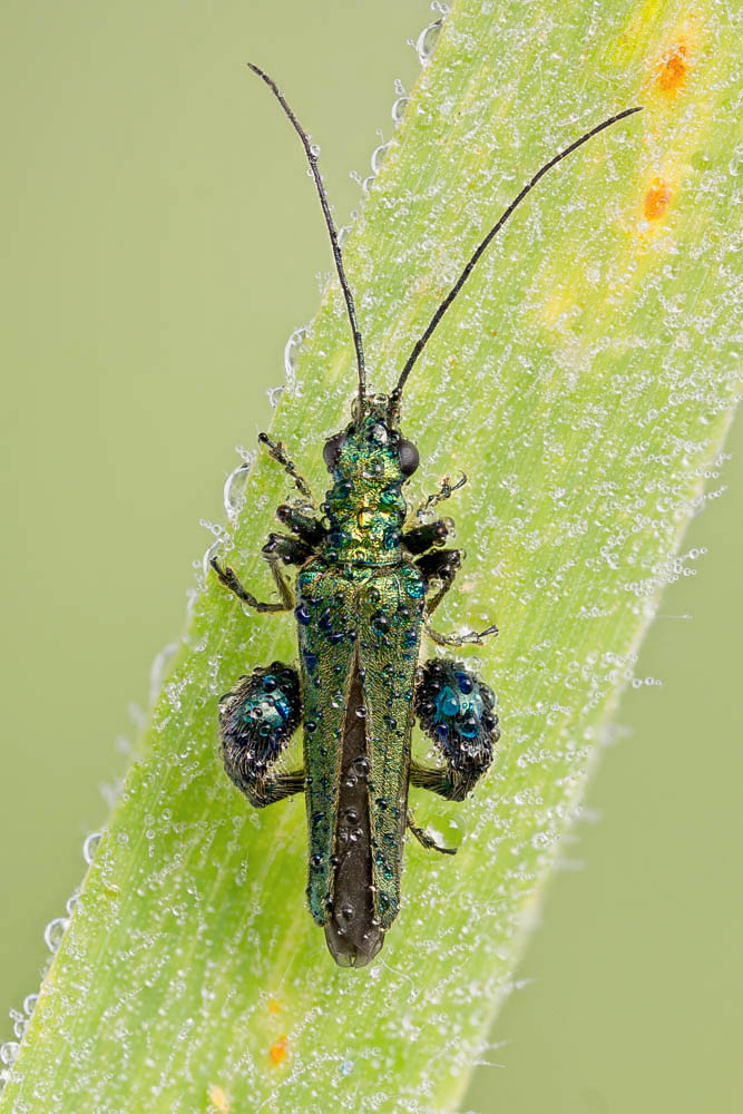 2016-05-21-23.24.30 ZS retouched-3.jpg