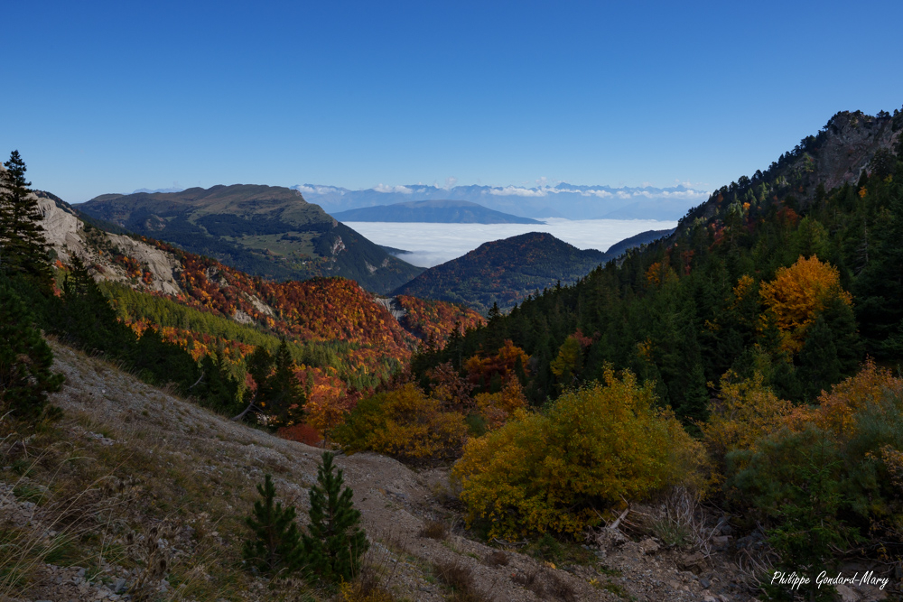 2025_10_14_002_PasDuBachassons.jpg