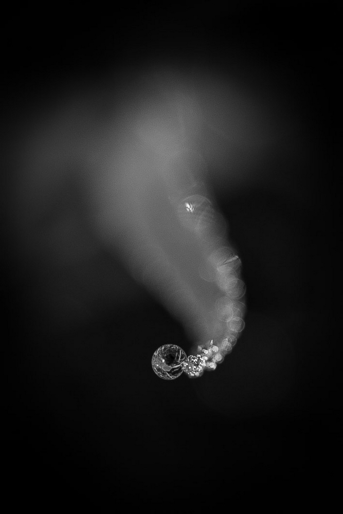 2G6A6597.jpg