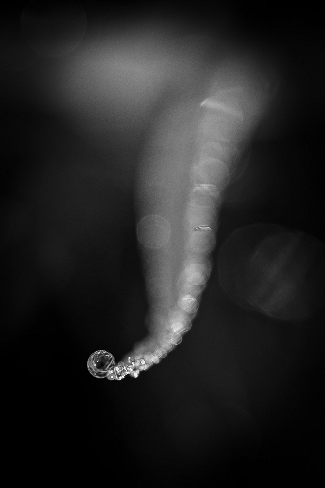 2G6A6600.jpg
