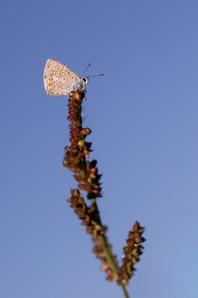 2G6A6663.jpg