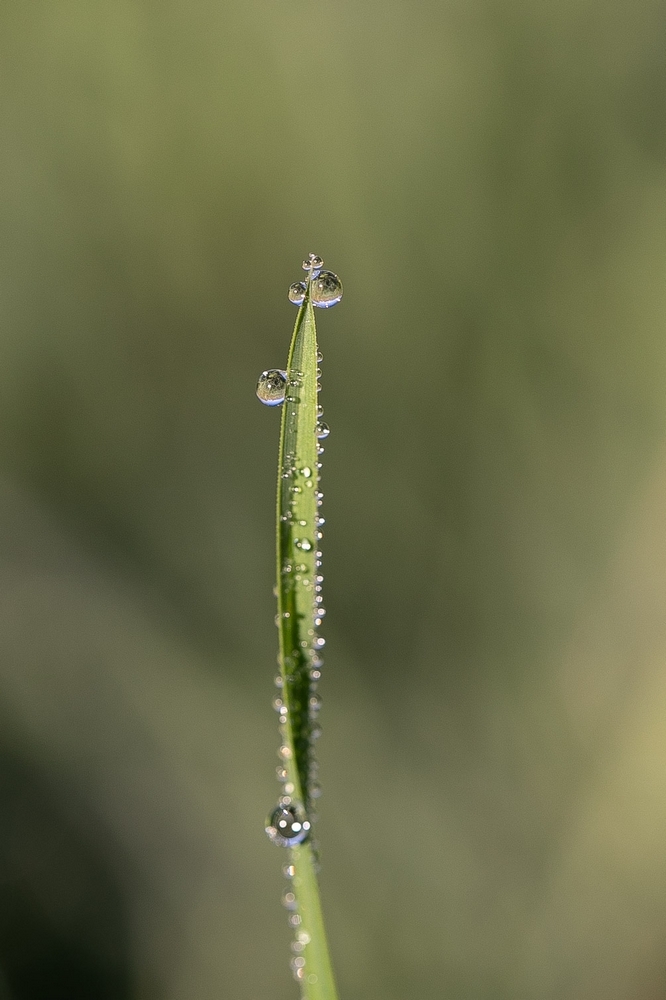 2G6A6680.jpg