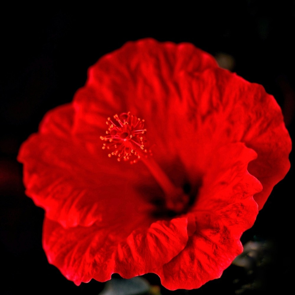 DSC00003_DxO -01-01-01 (1).jpeg