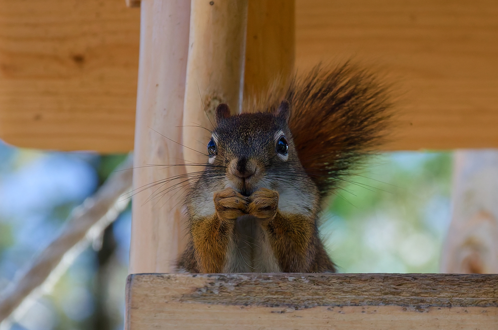 DSC_0087_DxO.jpg