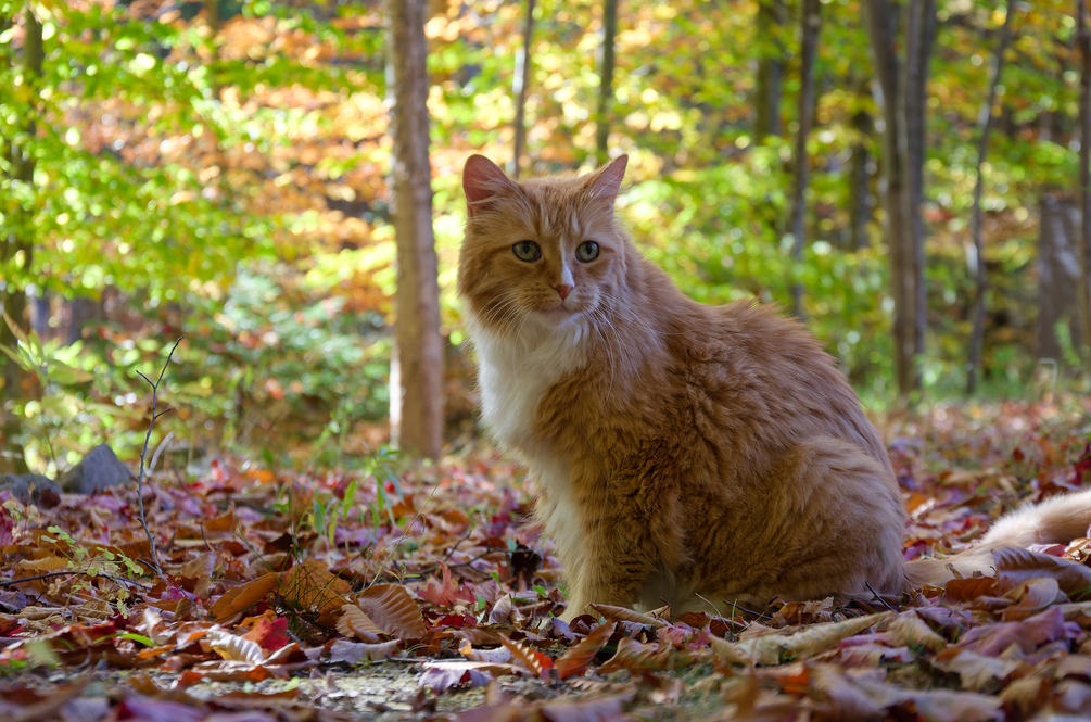 DSC_0141_DxOb.jpg