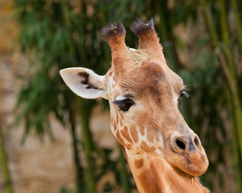 IMG_5705_DxO 1.jpg