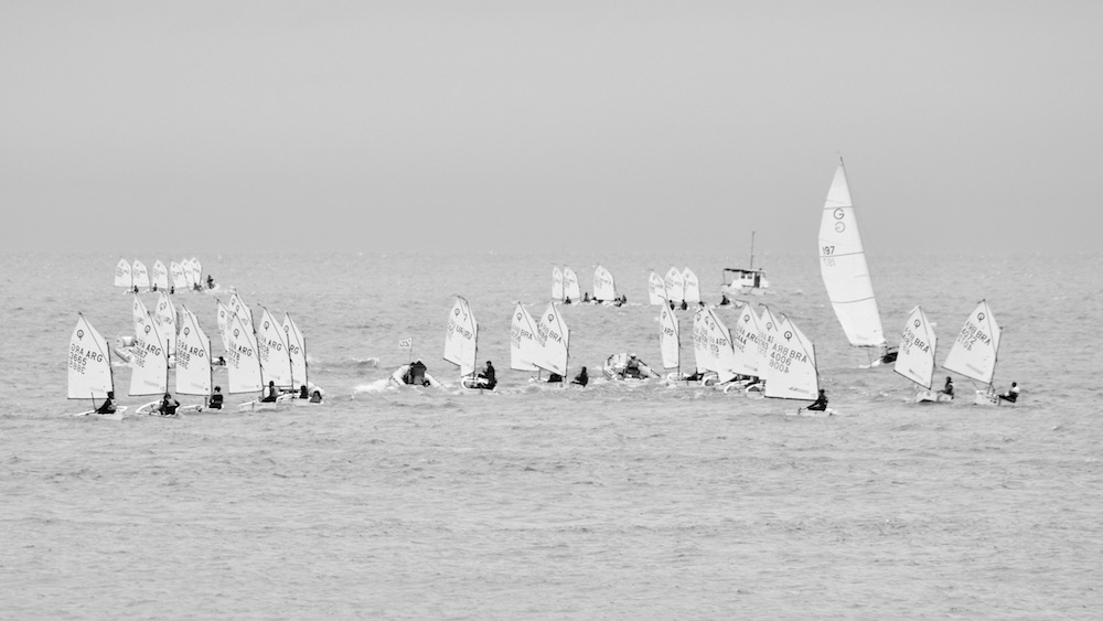 IMG_8493.jpg