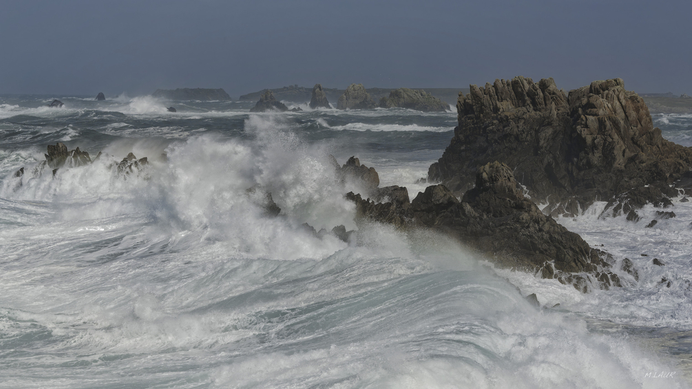 OUESSANT 2023_HOC9404_Nik.JPEG