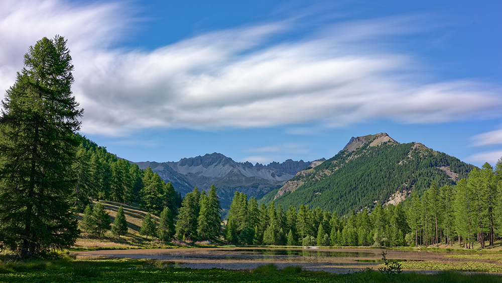 _DSC2984_DxO_2.jpg