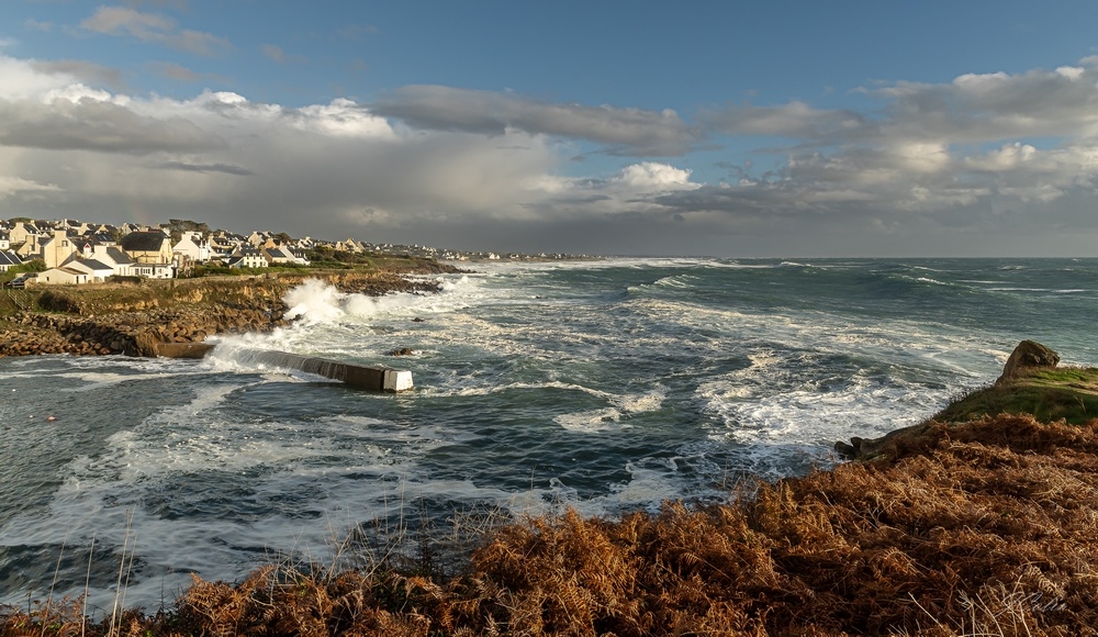 _DSC3929-1.jpg