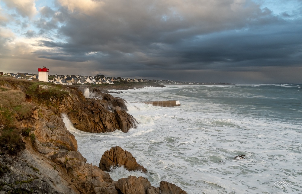 _DSC3956-1.jpg