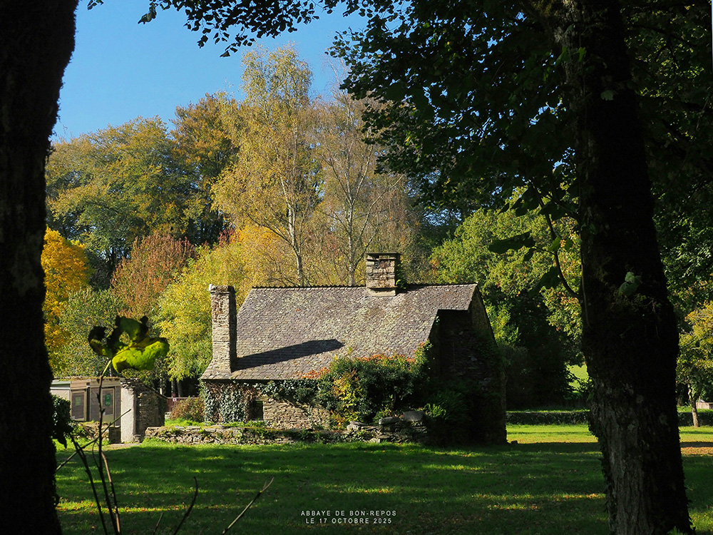 bg_13p.jpg