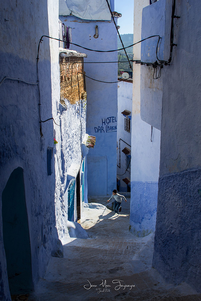 indigo incliné.jpg