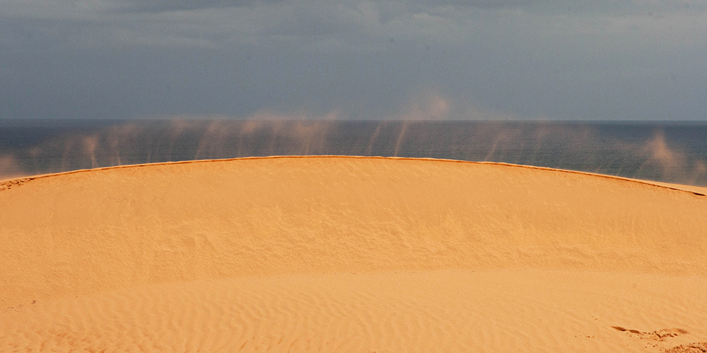 156.jpg