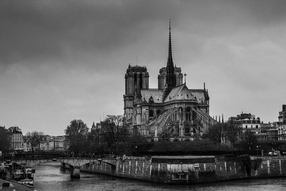 2011 nd de paris.jpg