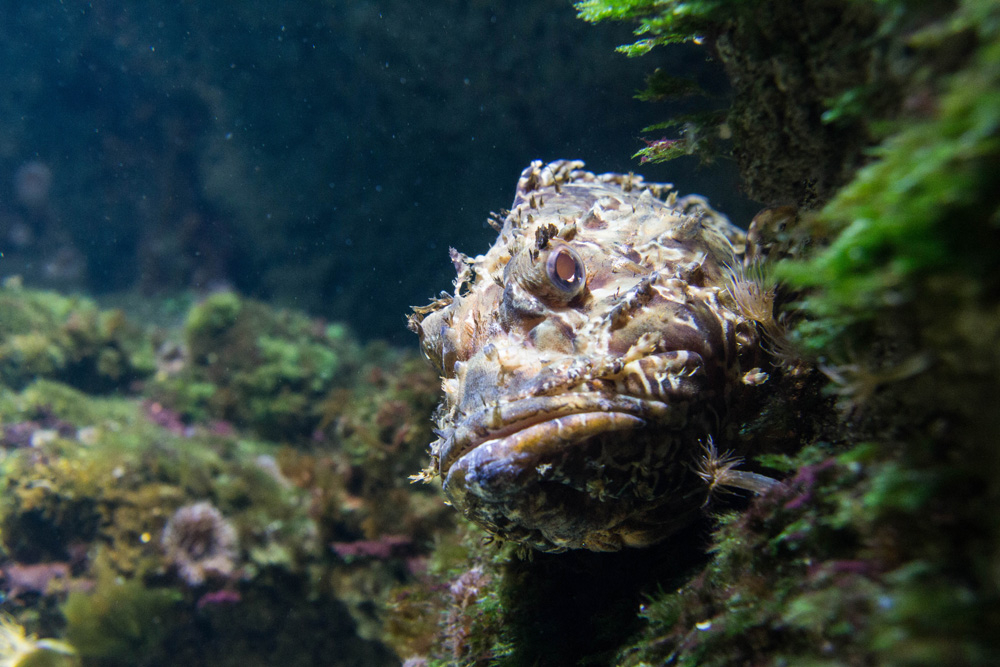 2012 la rochelle 01.jpg