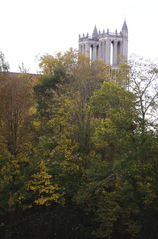 DSC00066 .jpg